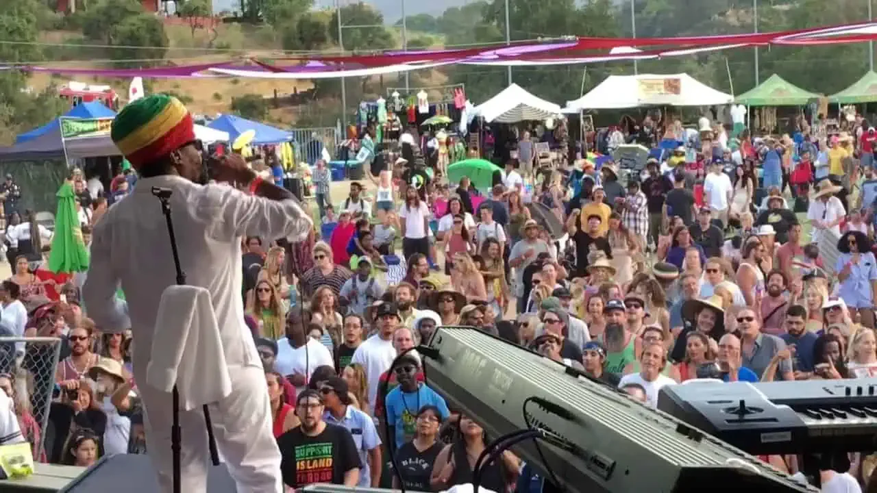 reggae 1.webp