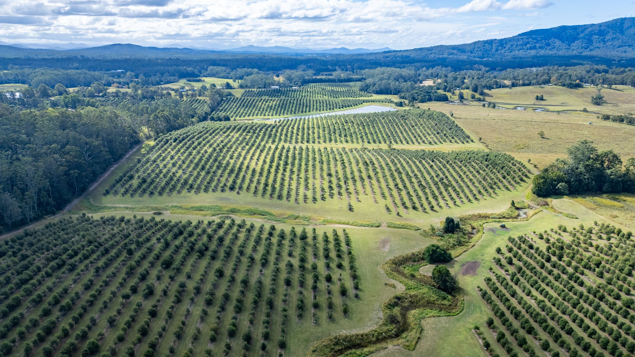 DJI_0569-HDR.jpg