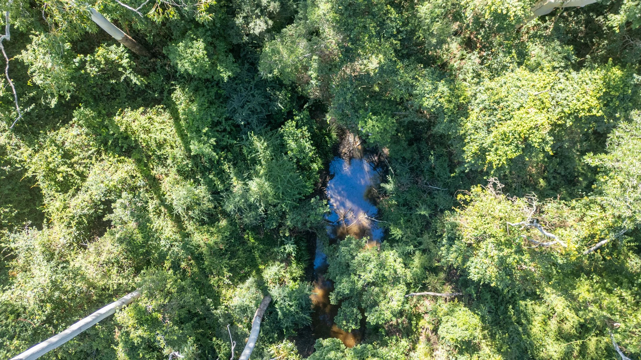DJI_0510-HDR.jpg