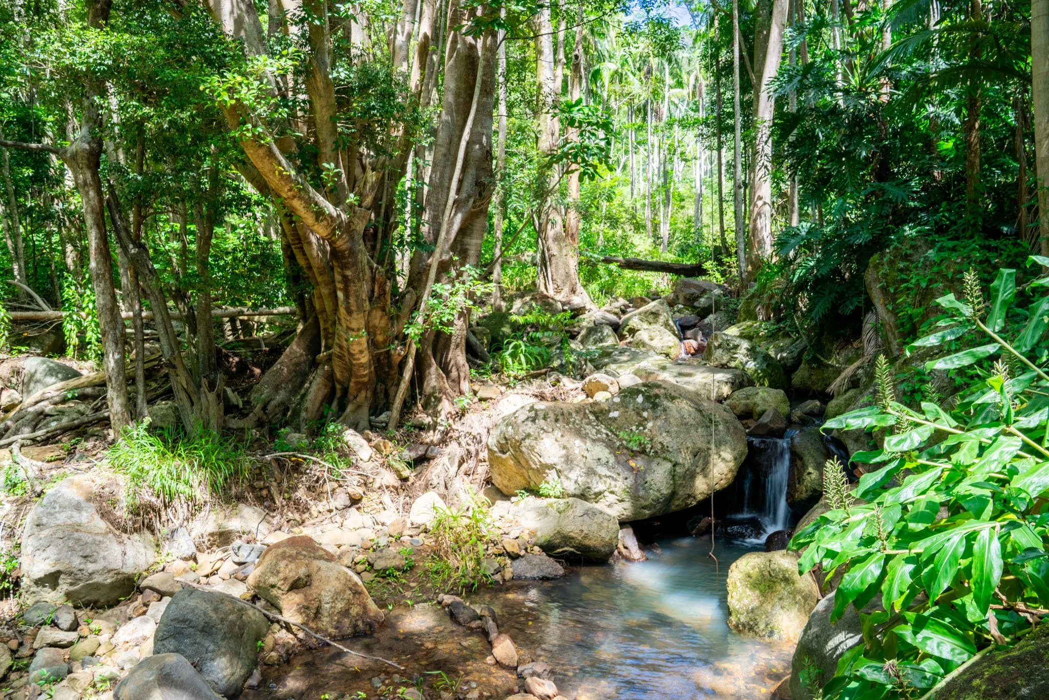DSC04062-HDR.jpg