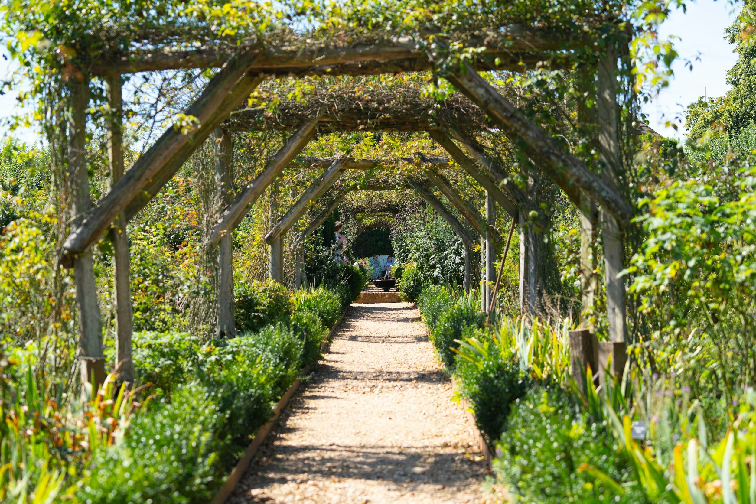 A garden pathway through a wooden arch covered with vines, with lush greenery and trees on either side. Trauma Therapy, Somatic Therapy, Spiritual Counseling, in Louisville, Colorado, serving Boulder, Lafayette, Erie, Broomfield, and virtual.