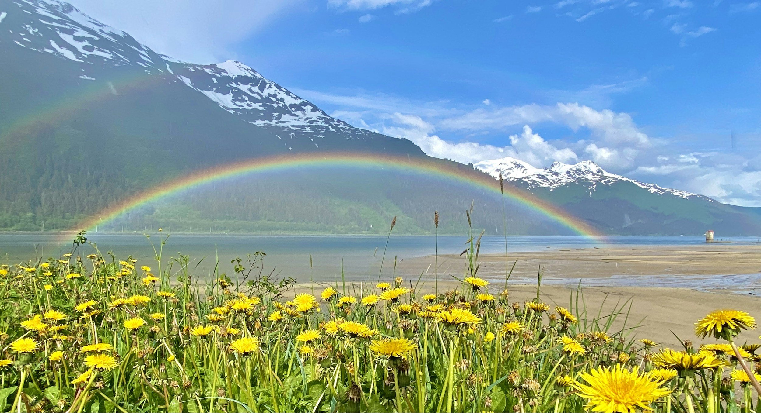 Rainbows. Trauma Therapy, Somatic Therapy, Spiritual Counseling, in Louisville, Colorado, serving Boulder, Lafayette, Erie, Broomfield, and virtual Somatic Healing sessions worldwide. Holistic Therapy for trauma, spiritual emergencies.