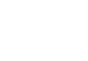 NOSSCR-logo-stacked-anniversary-REV-300x208.png