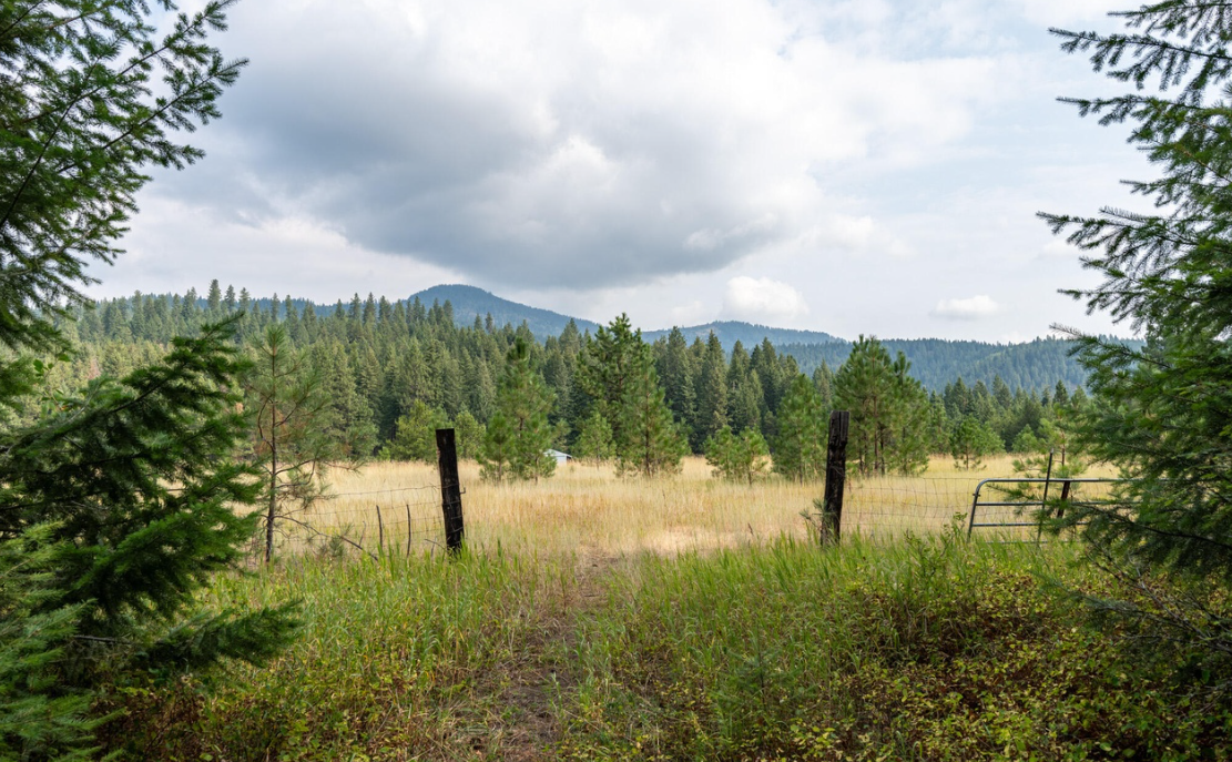 meadow gate.png
