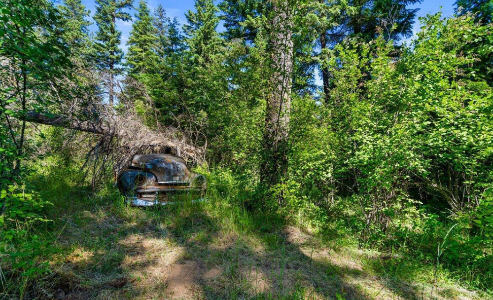 Rural property road and wooded acreage
