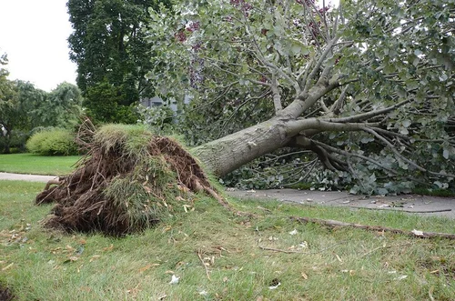 Property conditions following a weather-related event