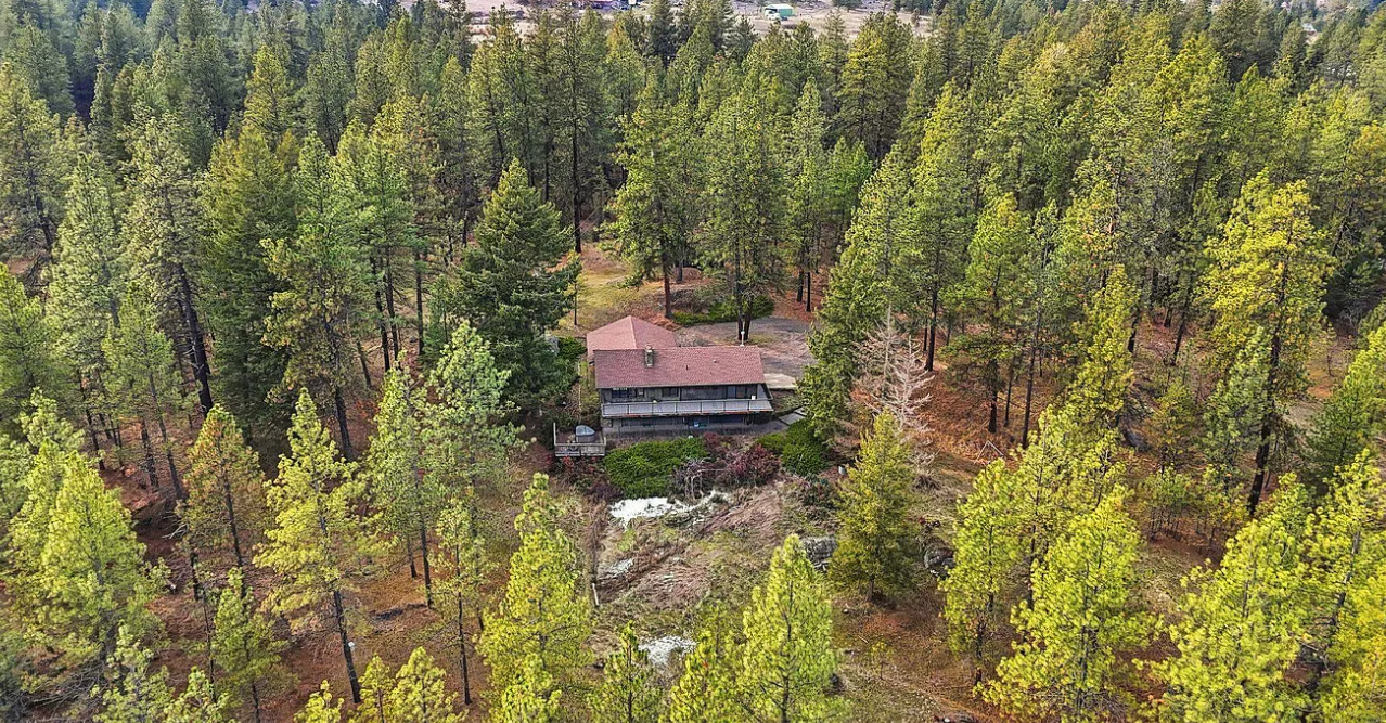 forest home (1).png