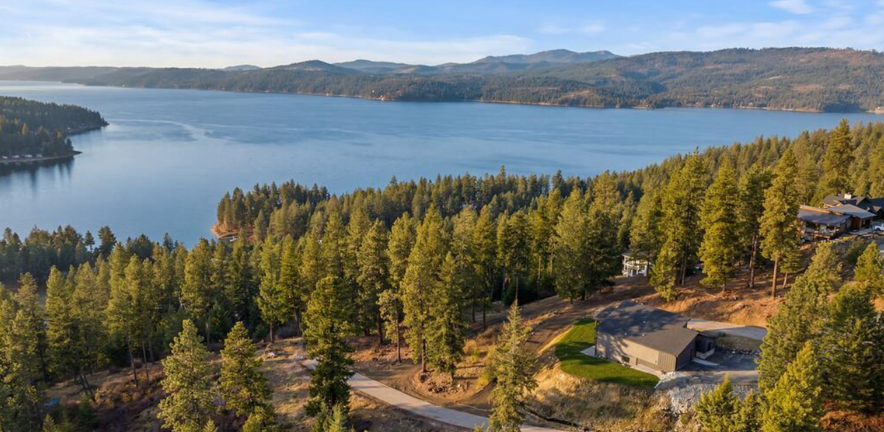 Lake view .png