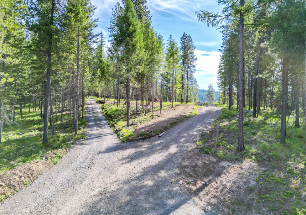 Raw land 5 road gravel drive.png