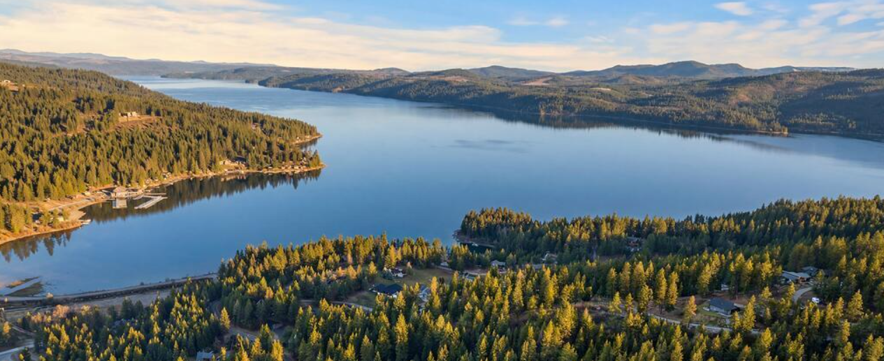 Lake view 2 .png