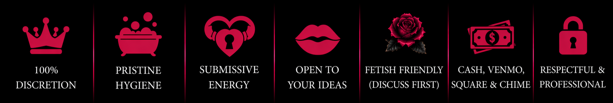 A series of icons with accompanying text describing preferences in a BDSM context. The icons include a crown, a bubbling bath, a heart with a lock, lips, a rose, money, and a lock. The texts mention discretion, hygiene, energy, openness, fetish friendliness, payment methods, and professionalism.