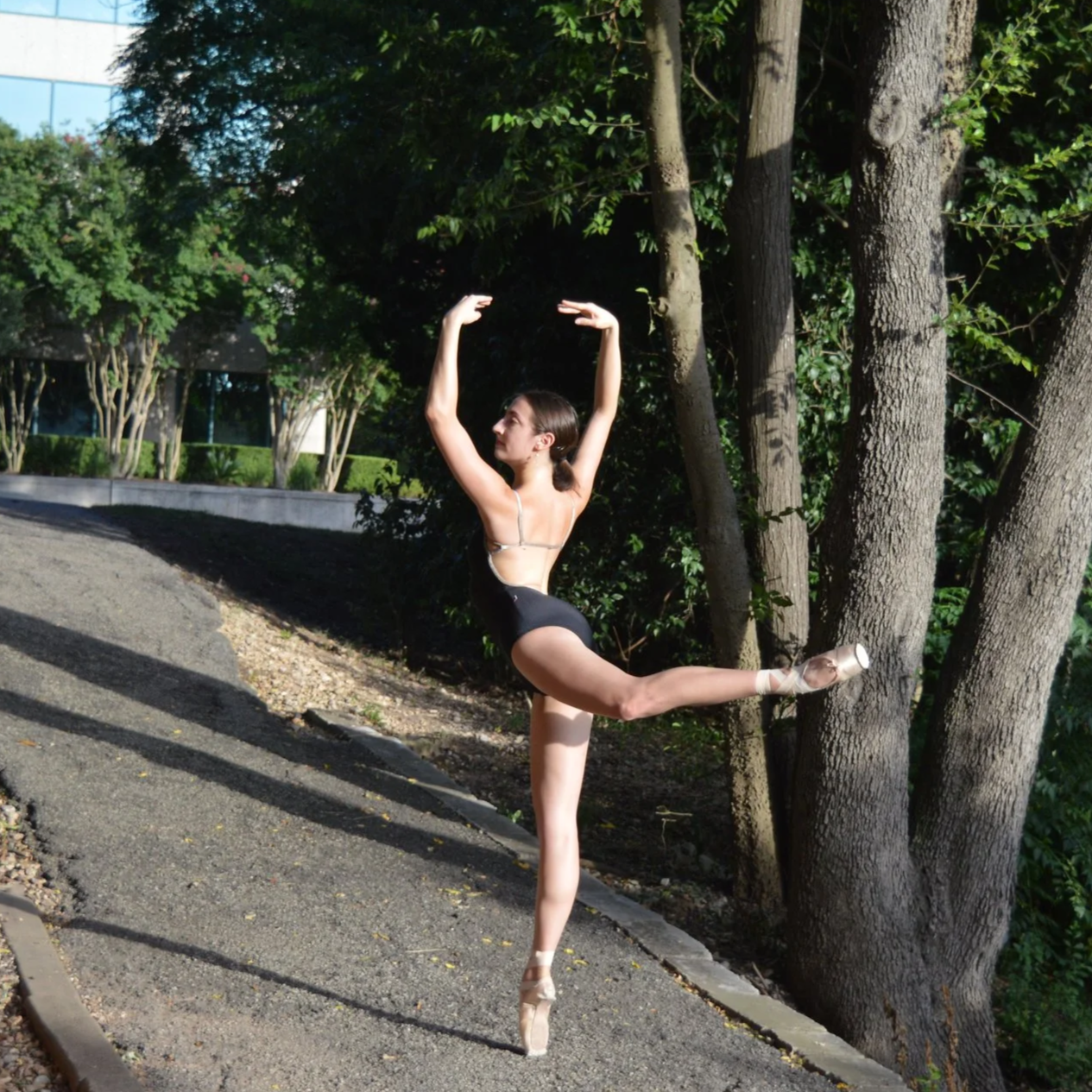 Ballet for Adult Beginners
