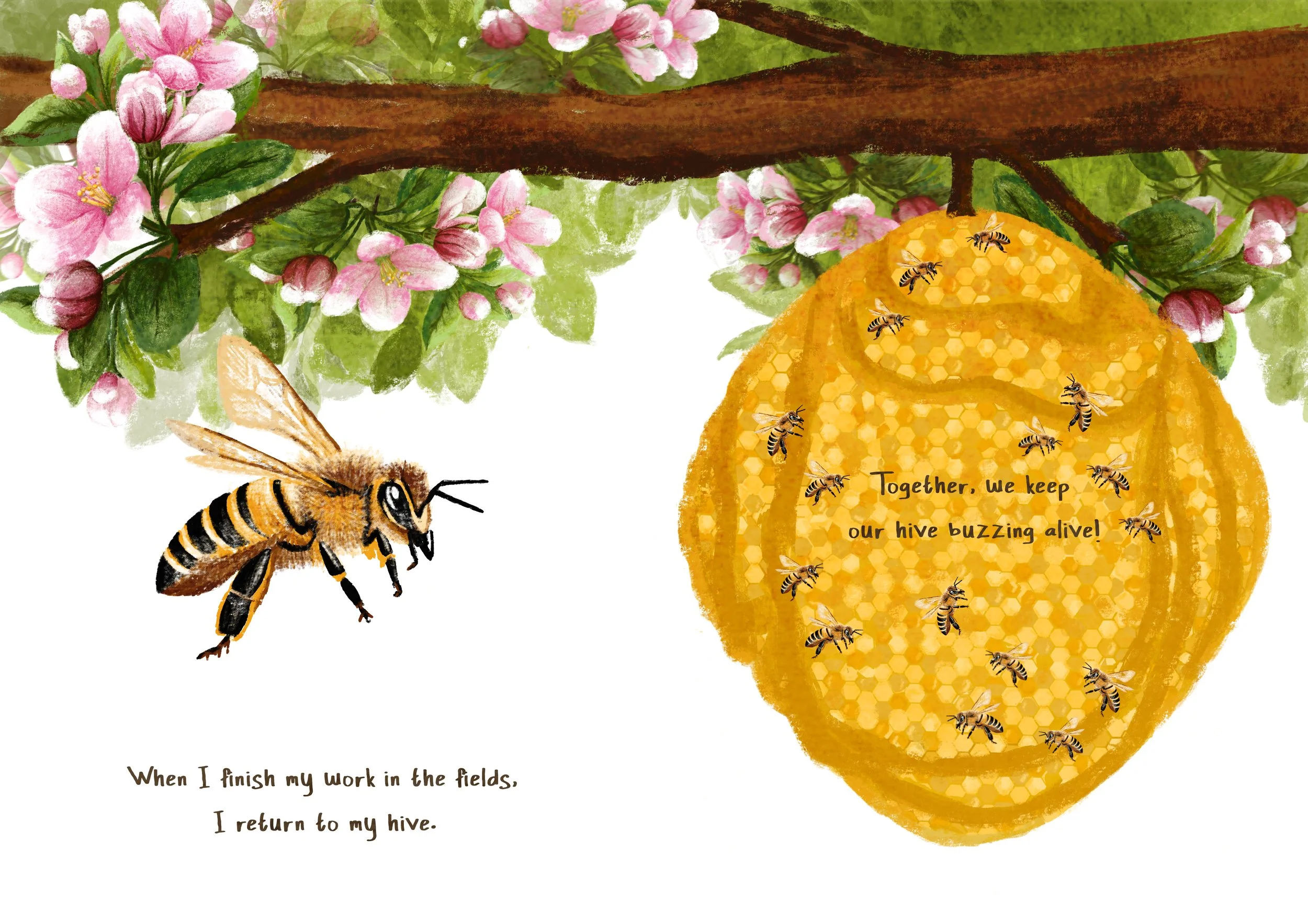 page_4&5.jpg