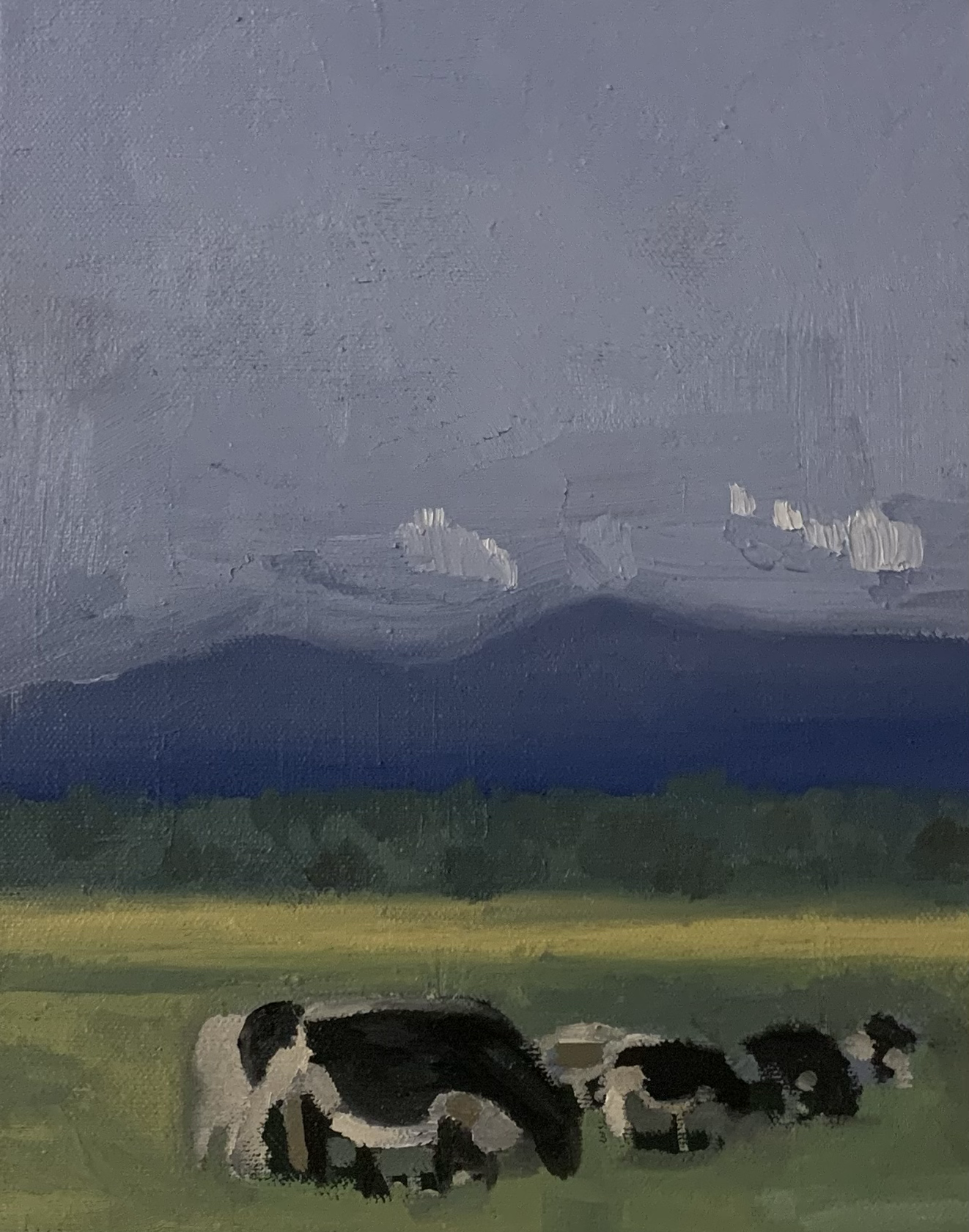Grazing Cows, 2022, Oil on canvas