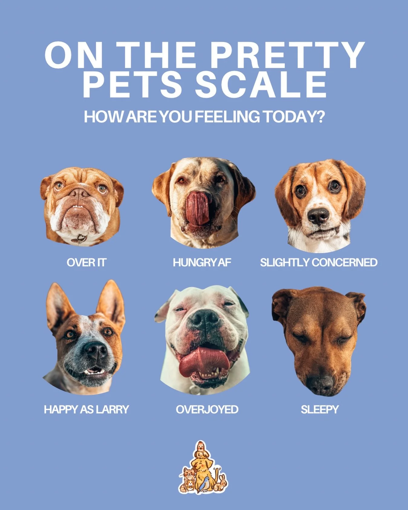 which pretty pet do you relate to today? 🥰

𝙖𝙧𝙚 𝙮𝙤𝙪 𝙡𝙤𝙘𝙖𝙩𝙚𝙙 𝙞𝙣 𝙬𝙤𝙡𝙡𝙤𝙣𝙜𝙤𝙣𝙜? 🩷 𝙙𝙤 𝙮𝙤𝙪 𝙣𝙚𝙚𝙙 𝙖 𝙥𝙚𝙩𝙨𝙞𝙩𝙩𝙚𝙧 𝙤𝙧 𝙙𝙤𝙜 𝙬𝙖𝙡𝙠𝙚𝙧? 🐶🦮 𝙢𝙚𝙨𝙨𝙖𝙜𝙚 𝙪𝙨 𝙩𝙤 𝙚𝙣𝙦𝙪𝙞𝙧𝙚! 💬

-

🐕 dogs, dog, cat, petsi
