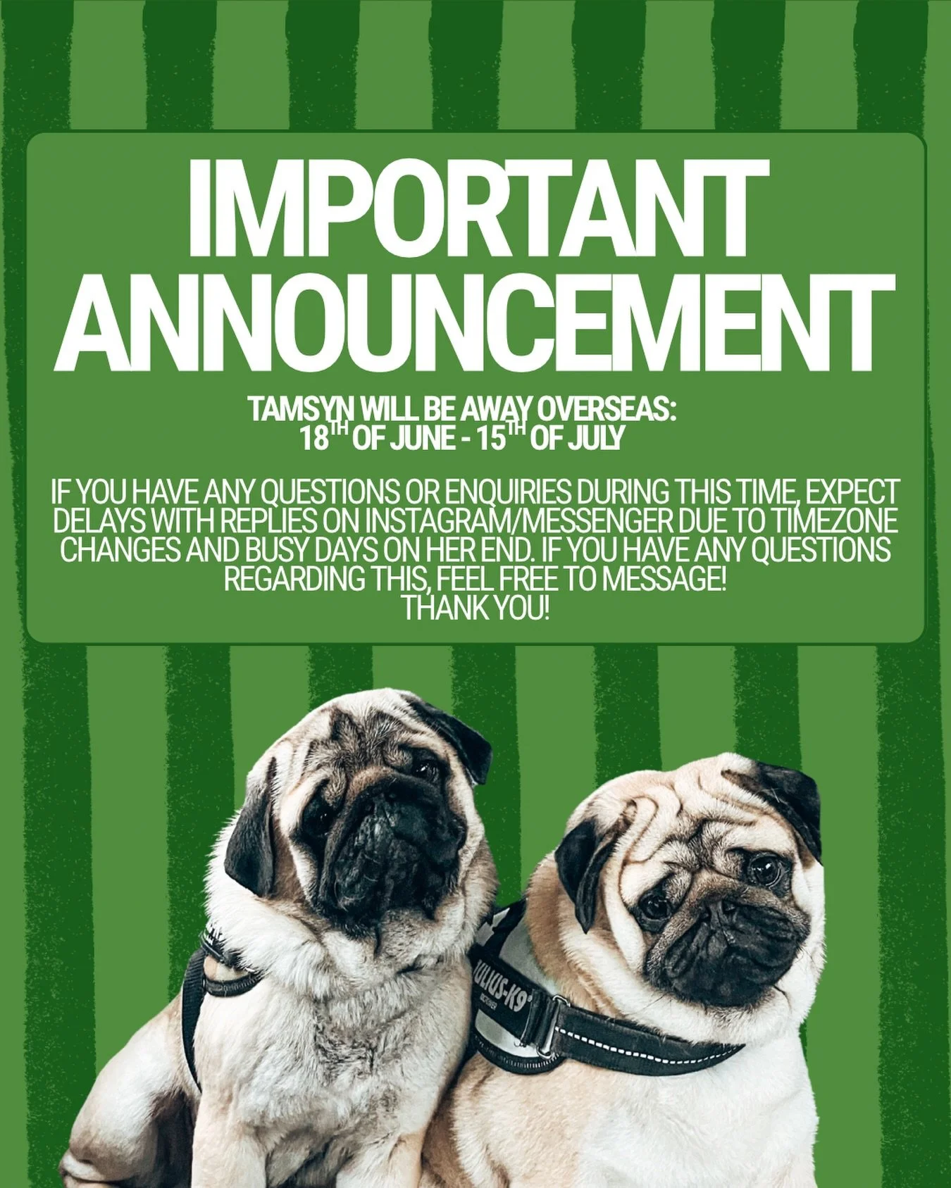 hi everyone! ☺️

as stated in the post above, i will be away overseas from the 18th of june to the 15th of july 💚 if you have any questions or enquiries during this time, expect delays with replies on Instagram/Messenger due to timezone changes and 