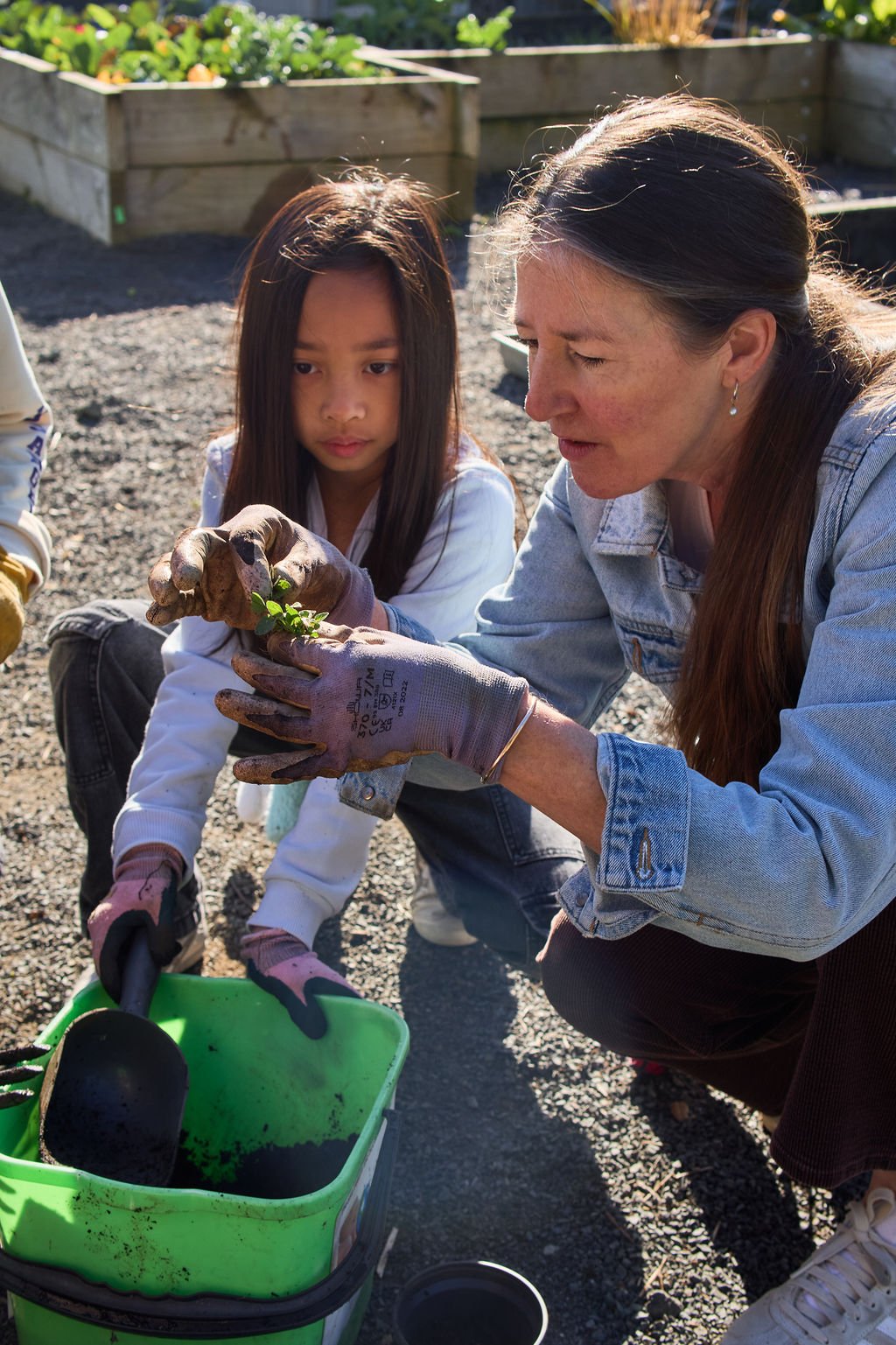 A woman and a girl gardening together outdoors, with the woman showing the girl a small plant. They are wearing gloves and working near a bucket filled with dark soil, with raised garden beds in the background.