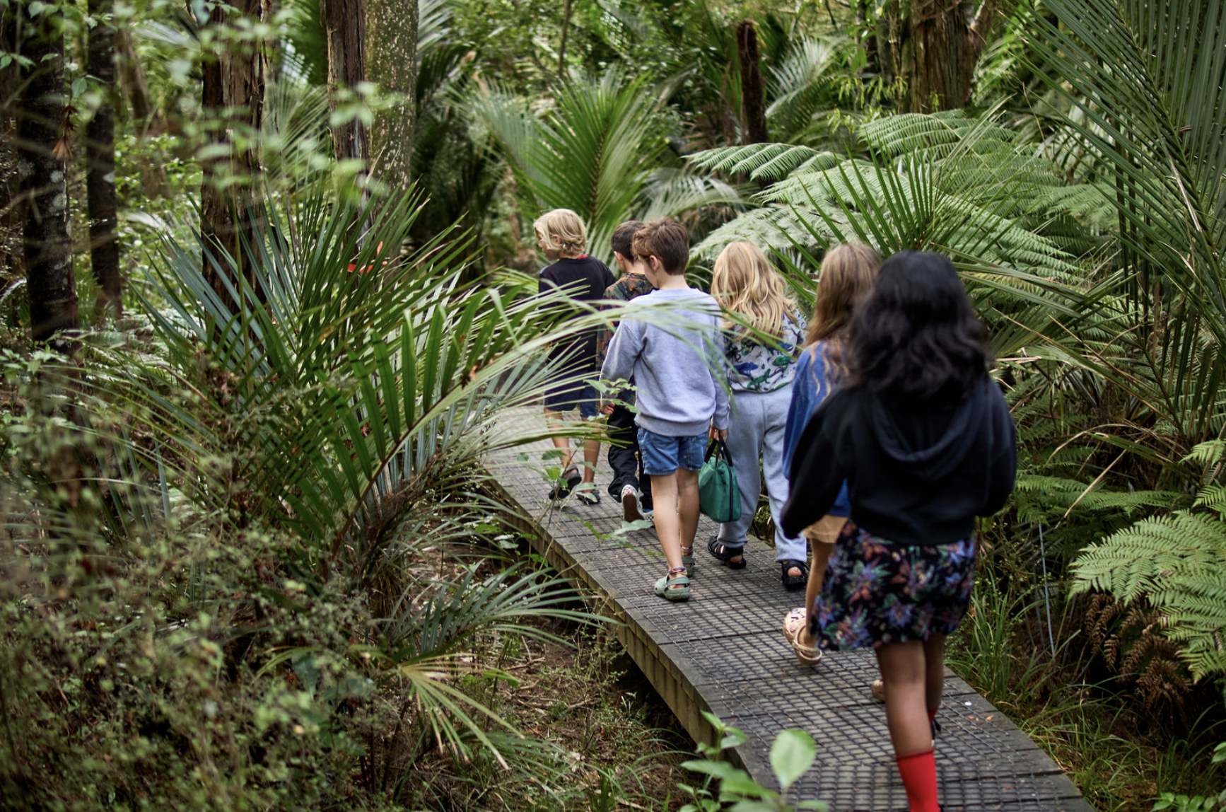 Group of children walking on a narrow boardwalk through dense, green, tropical foliage in a rainforest or botanical garden.