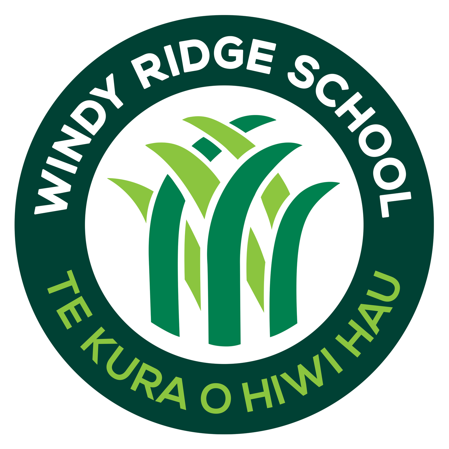 Windy Ridge School