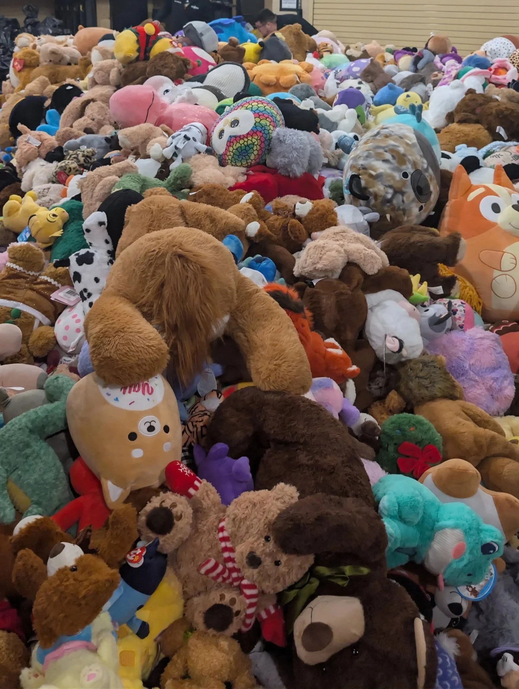 3,988 Teddy Bears Tossed for Texas Children's Hospital on December 12, 2025