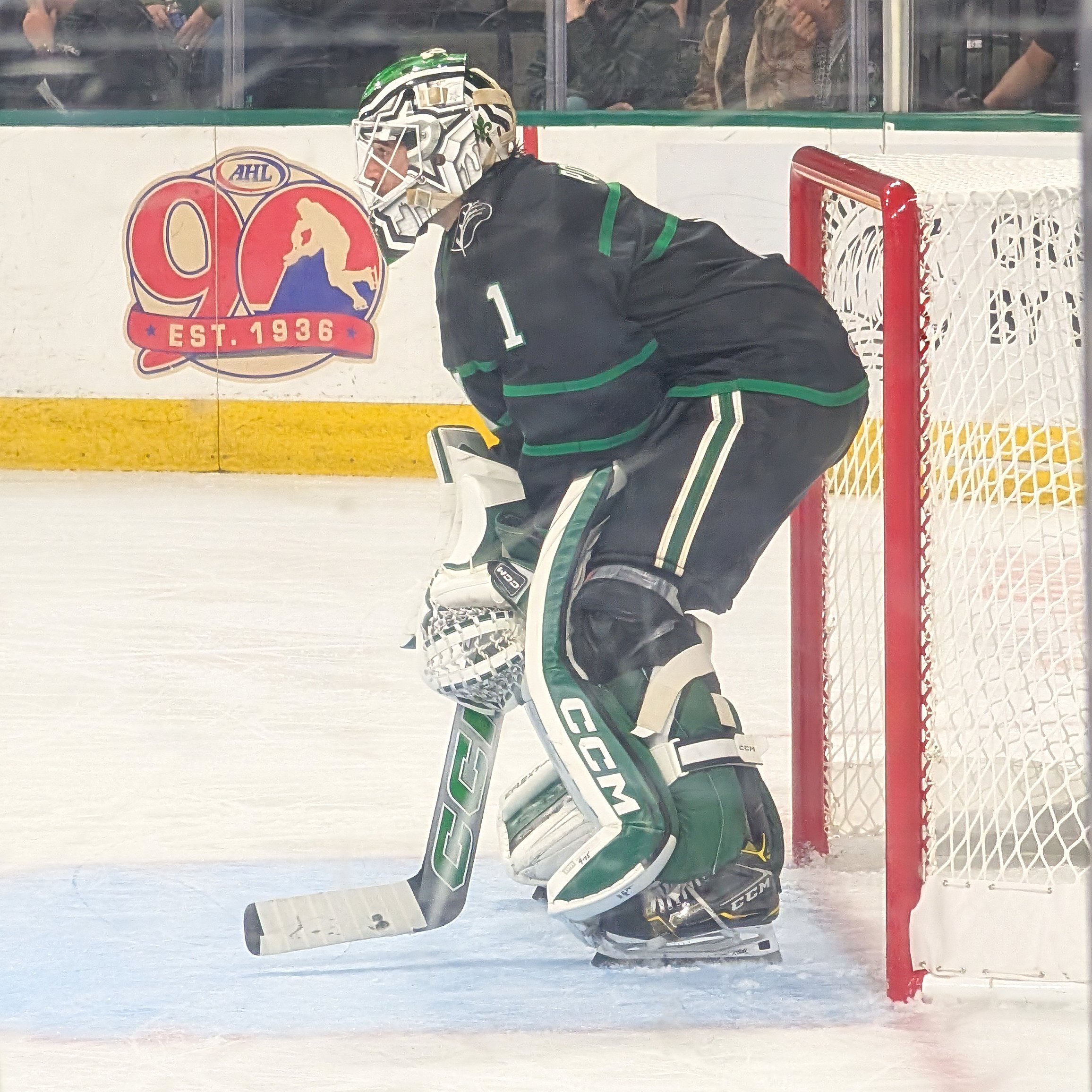 REMI IN NET EDITED #2.jpg