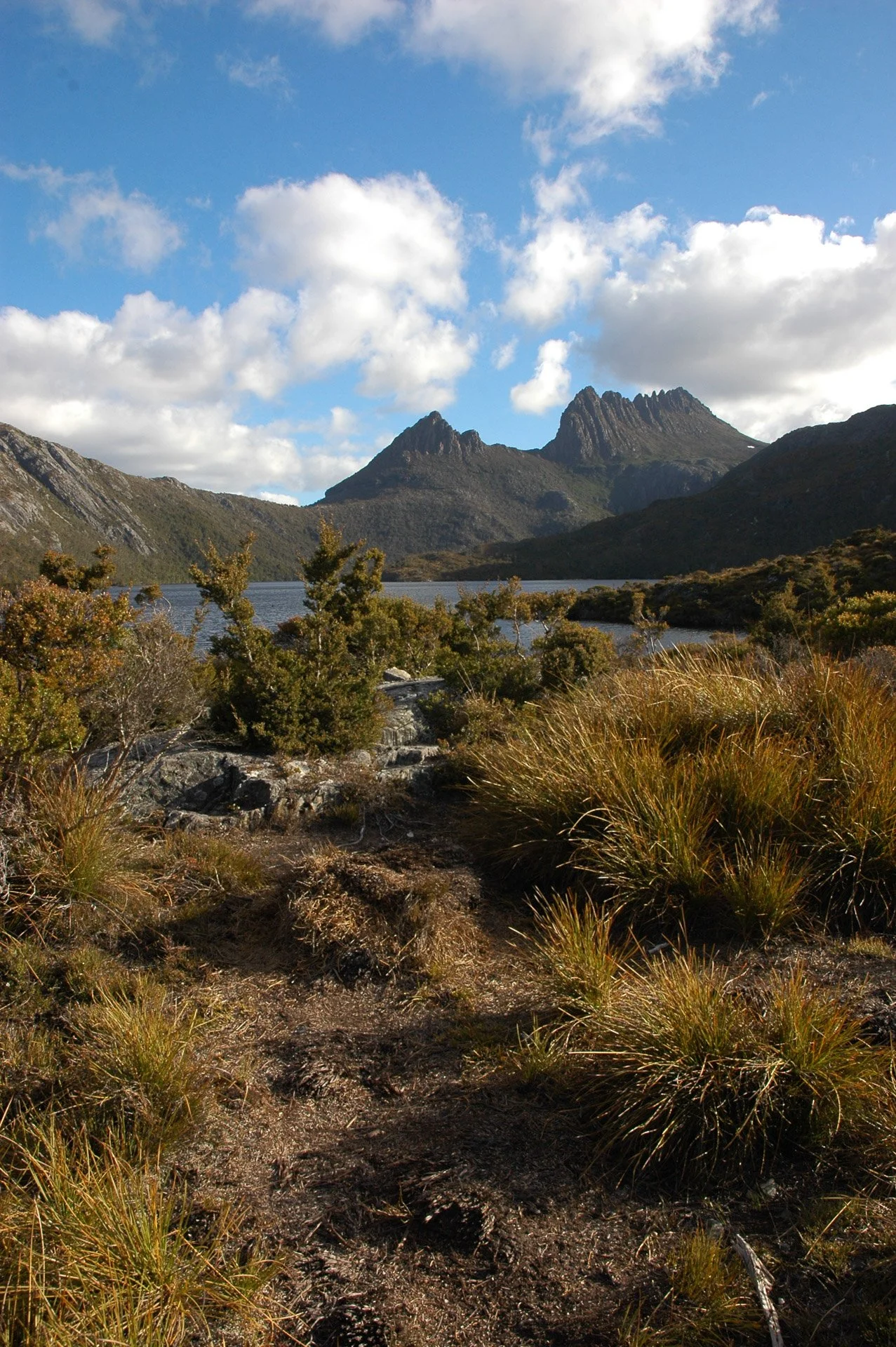 Cradle Mountain in Tasmania - you can see a mountain landscape with rugged peaks, a lake, and lush Tasmanian greenery under a partly cloudy sky.