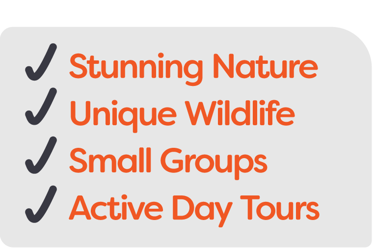 Checklist with four items: Stunning Nature, Unique Wildlife, Small Groups, Active Day Tours, all checked off.