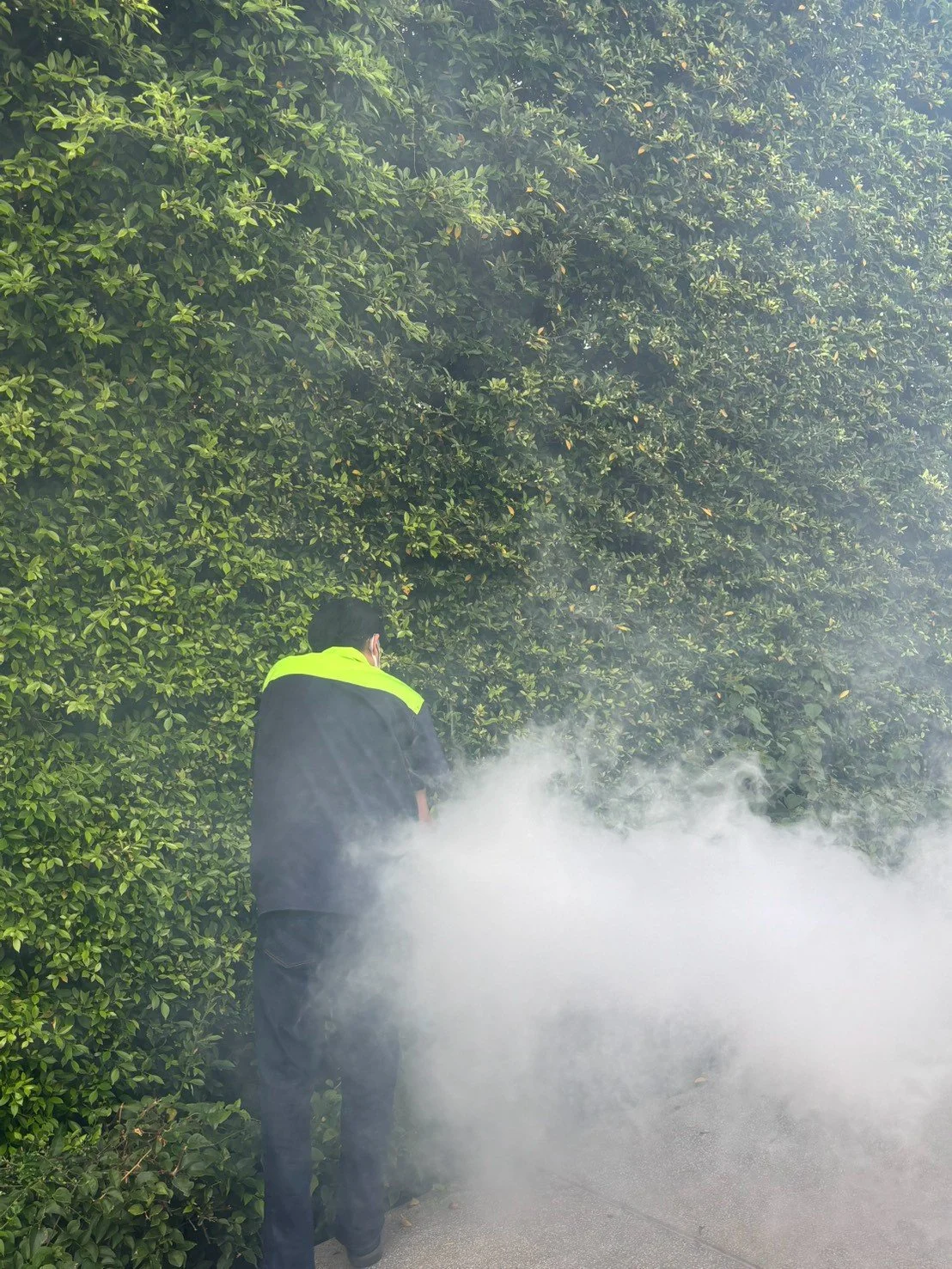 A person wearing a black jacket with a yellow stripe on the shoulders is standing on a sidewalk near a large green bush, with white smoke or fog emanating around them.