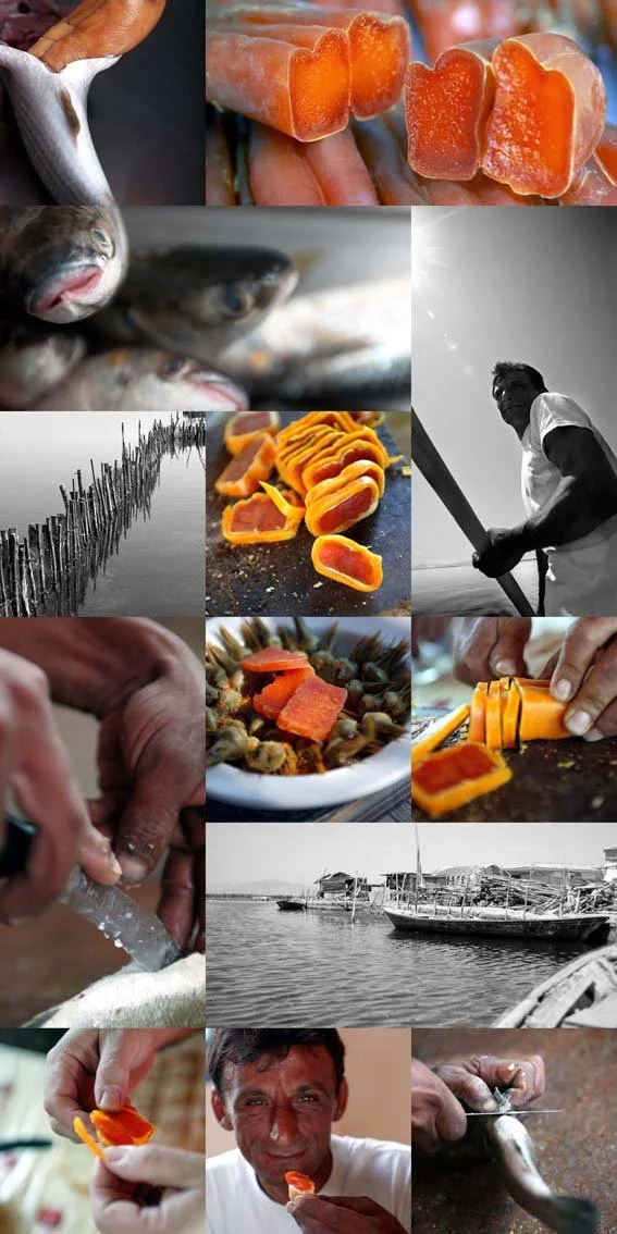 Visual strategy moodboard for Trikalinos Bottarga, bridging documentary reportage and commercial product photography by Stavros Kostakis Photography.