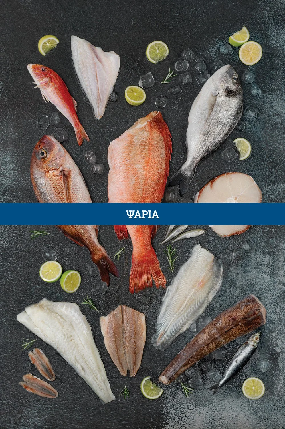 Daskalakis Fish & seafood.Commercial flat lay photography of fresh seafood and fish on ice for M. Daskalakis catalog, shot by Stavros Kostakis. Packshot, Advertising Photography, Athens Food Photographer.
