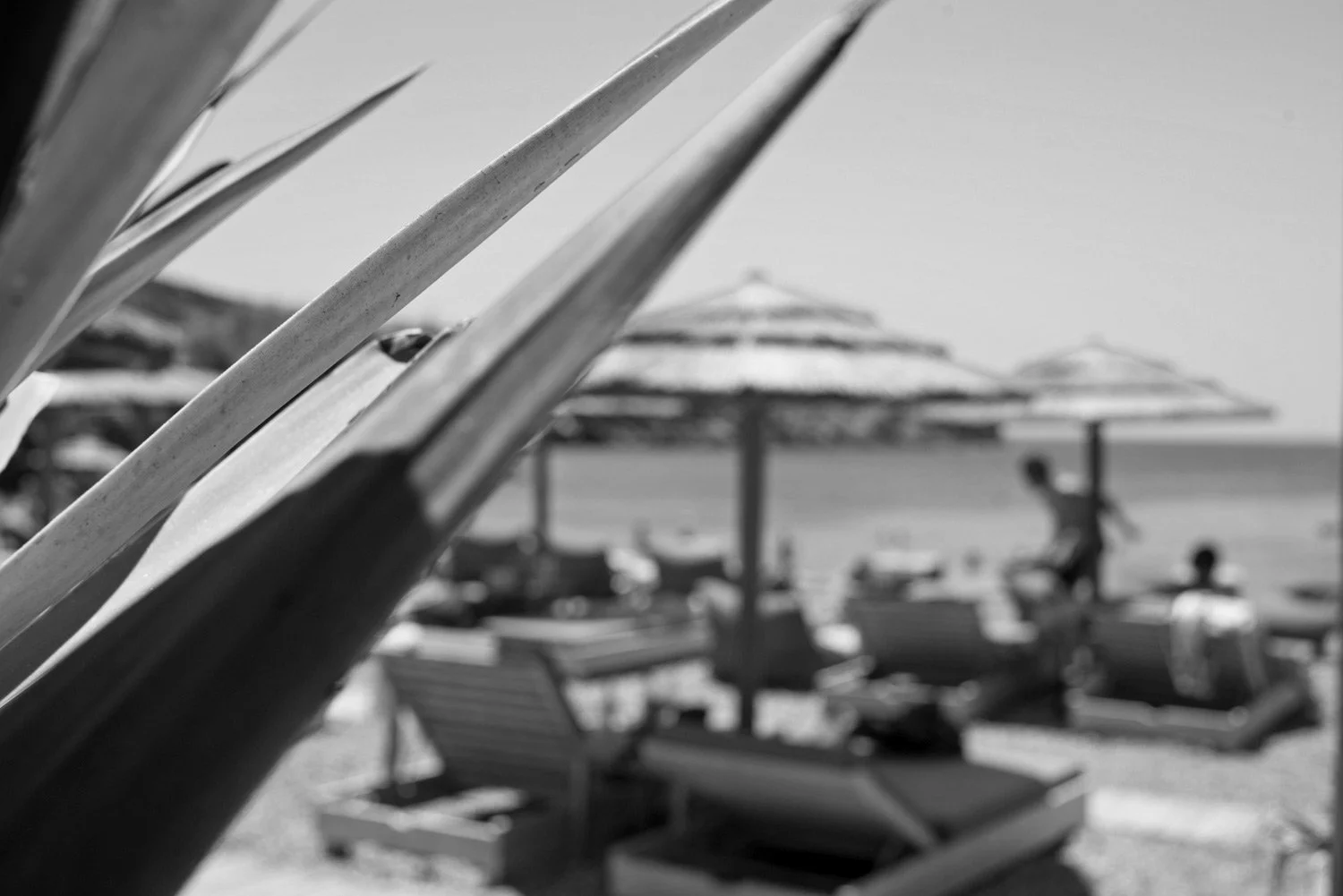 Atmospheric black and white abstract photography of Vourni beach in Tinos, featuring blurred organic textures in the foreground and straw umbrellas, evoking a raw 1960s summer nostalgia, by Stavros Kostakis.