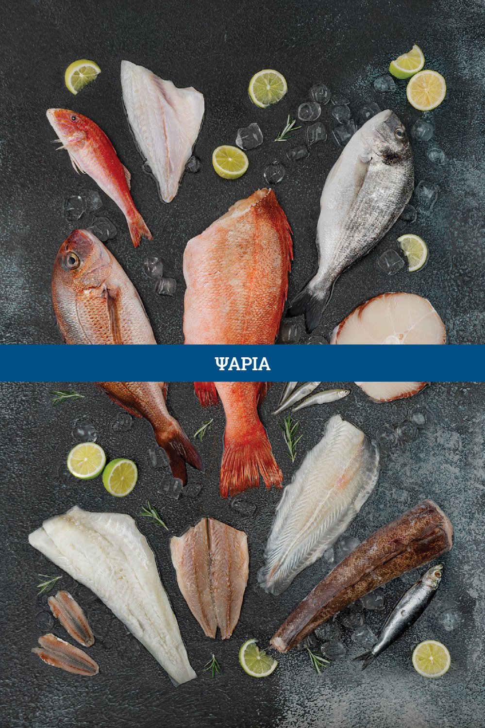 Daskalakis Fish & seafood.Commercial flat lay photography of fresh seafood and fish on ice for M. Daskalakis catalog, shot by Stavros Kostakis. Packshot, Advertising Photography, Athens Food Photographer.