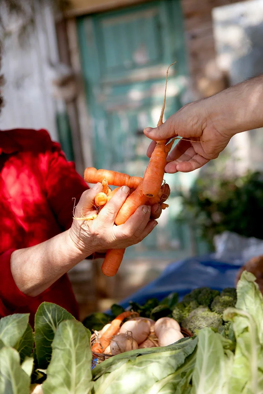 farm-to-table-market-exchange-authentic-gastronomy-photography-stavros-kostakis.jpg