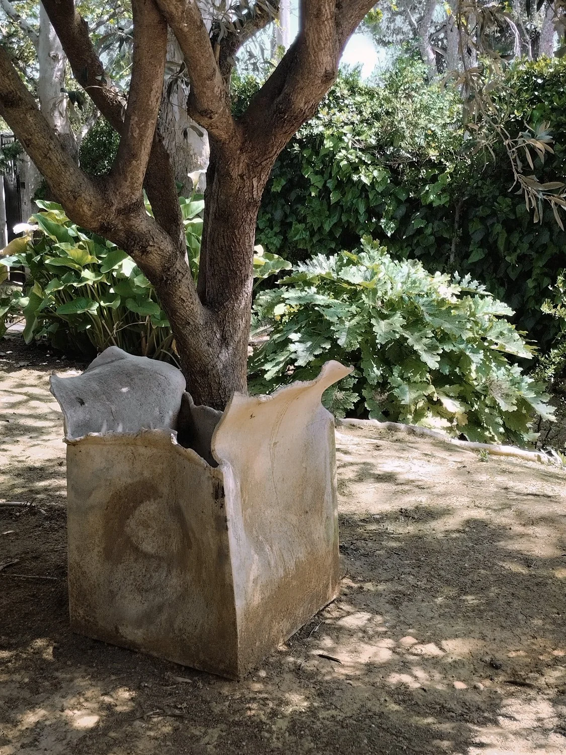 christina-morali-sculptural-ceramic-planter-garden-stavros-kostakis-photography-athens.jpg