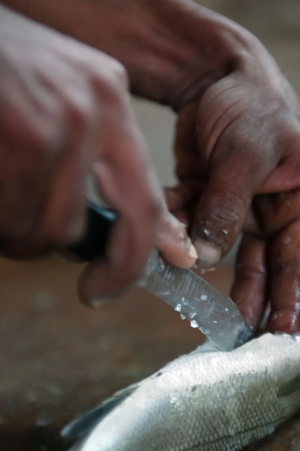 Artisanal food production close-up, traditional mullet fish processing, documentary heritage photography by Stavros Kostakis Photography.