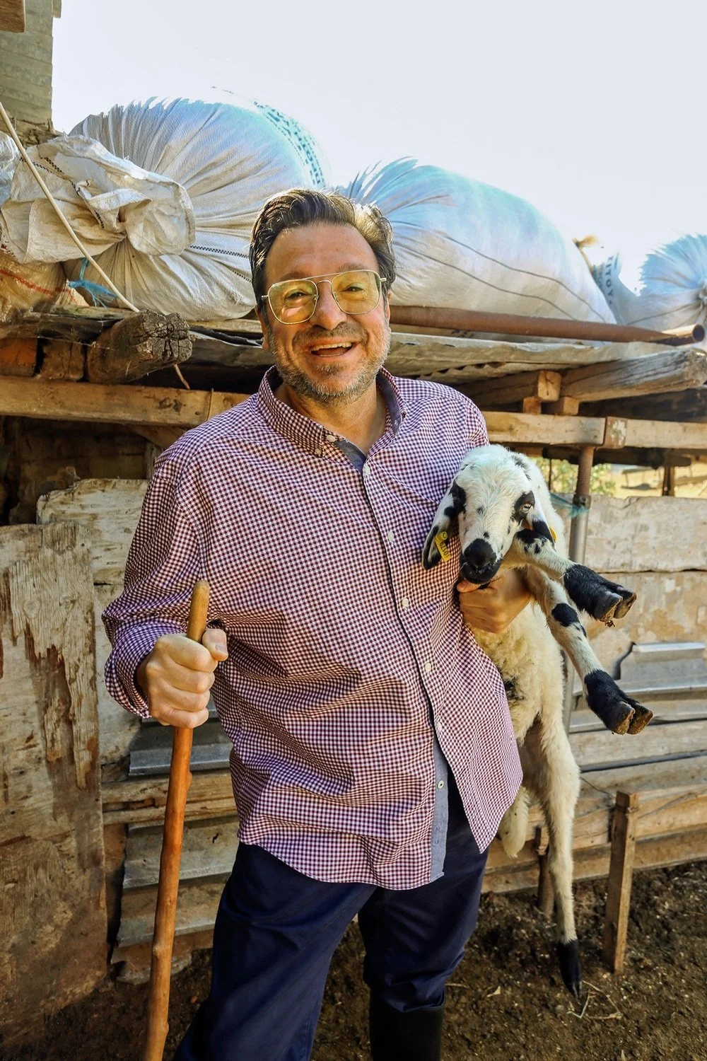 Panagiotis Giannakos  Aria Fine Catering | Corporate portrait of Panagiotis Giannakos, CEO of Aria Fine Catering, smiling and holding a small lamb and a shepherd's crook in a rustic farm setting. Photography by Stavros Kostakis.