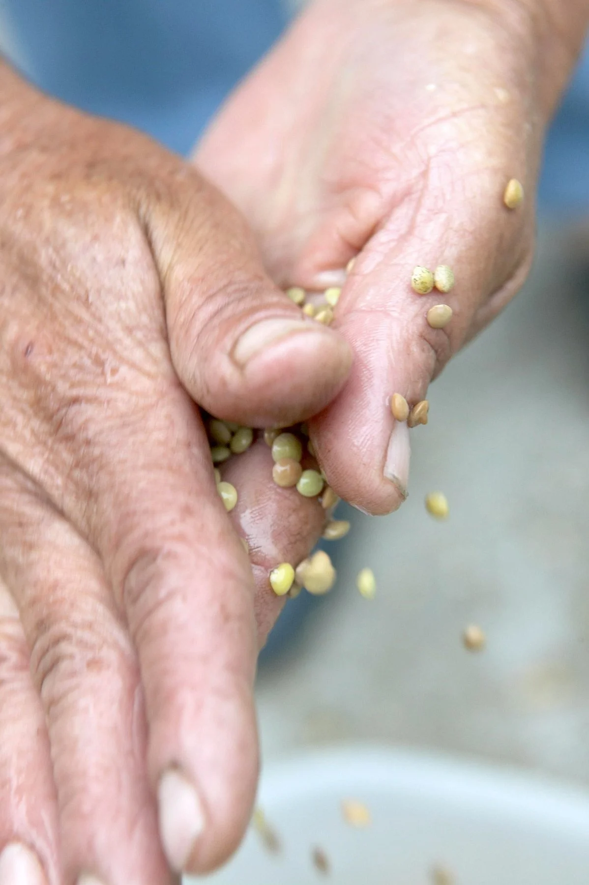 heritage-cooking-tradition-greek-lentils-hands-editorial-stavros-kostakis-photography.jpg