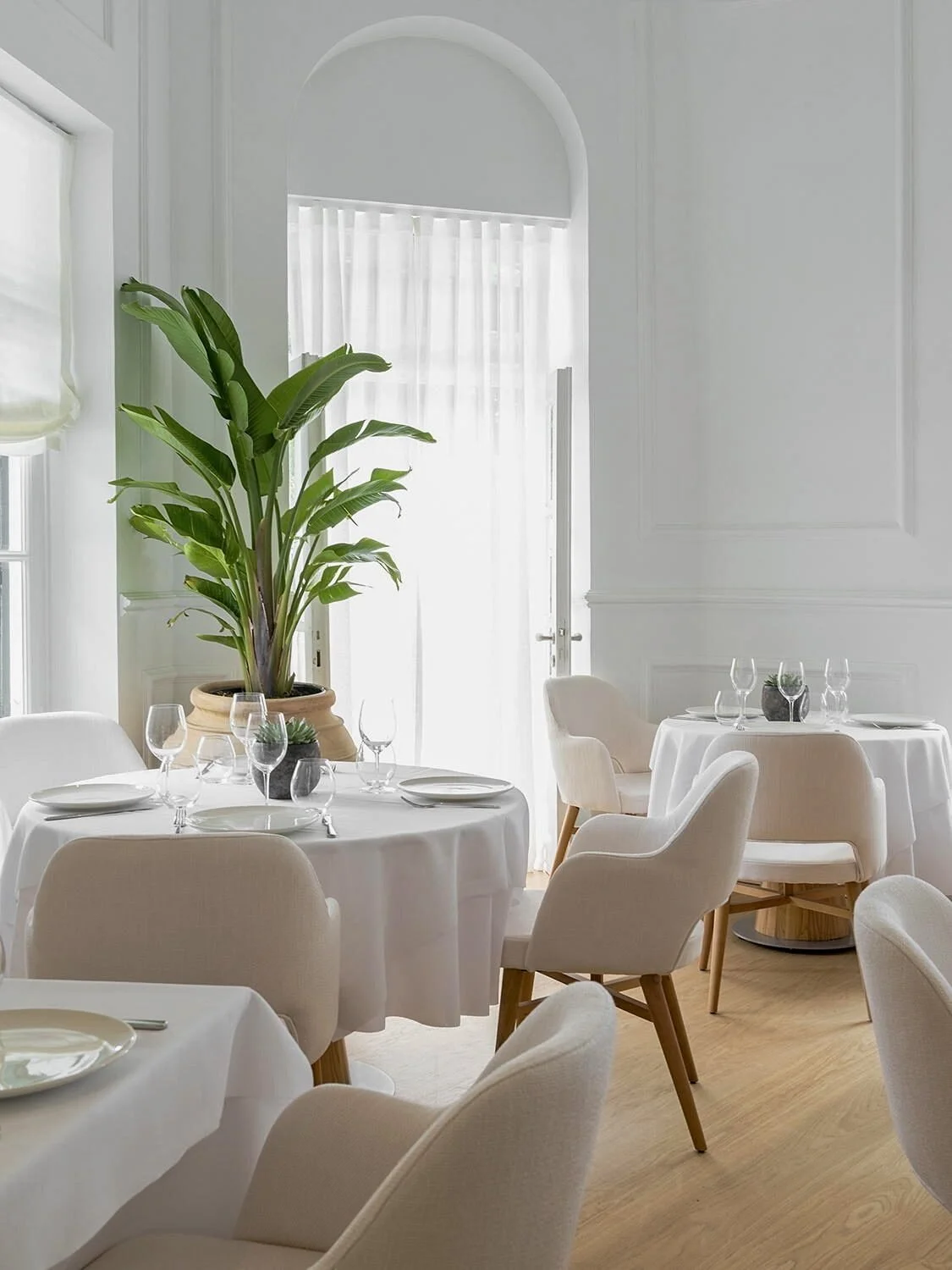A bright corner of Papaioannou restaurant in Kefalari, featuring a white-set round table and minimalist seating. A large indoor palm in a terracotta pot adds a natural element to the clean, neoclassical interior design, captured in soft morning light