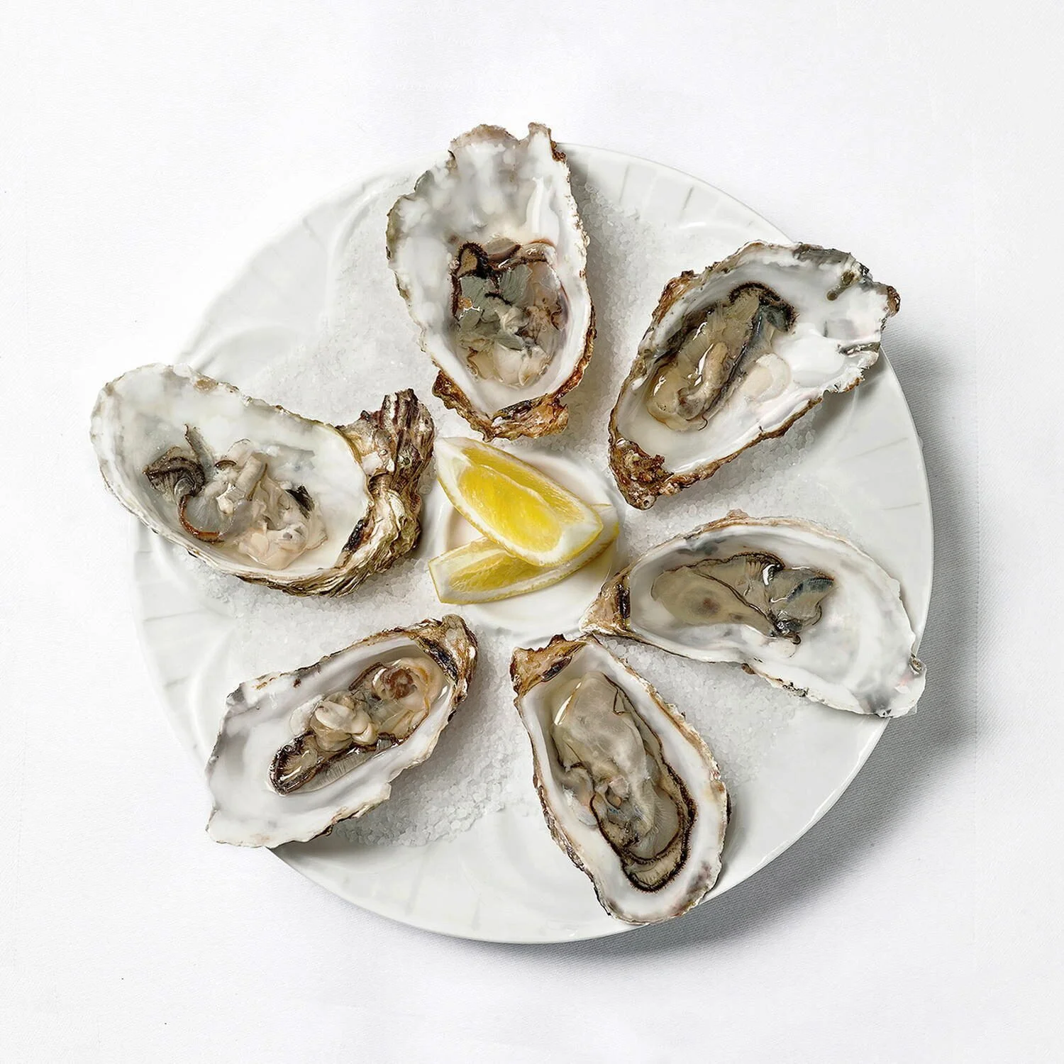 Top-down photography of fresh oysters on ice with lemon, served at Medittera in Mechelen, Belgium. High-end gastronomy visual by Stavros Kostakis.