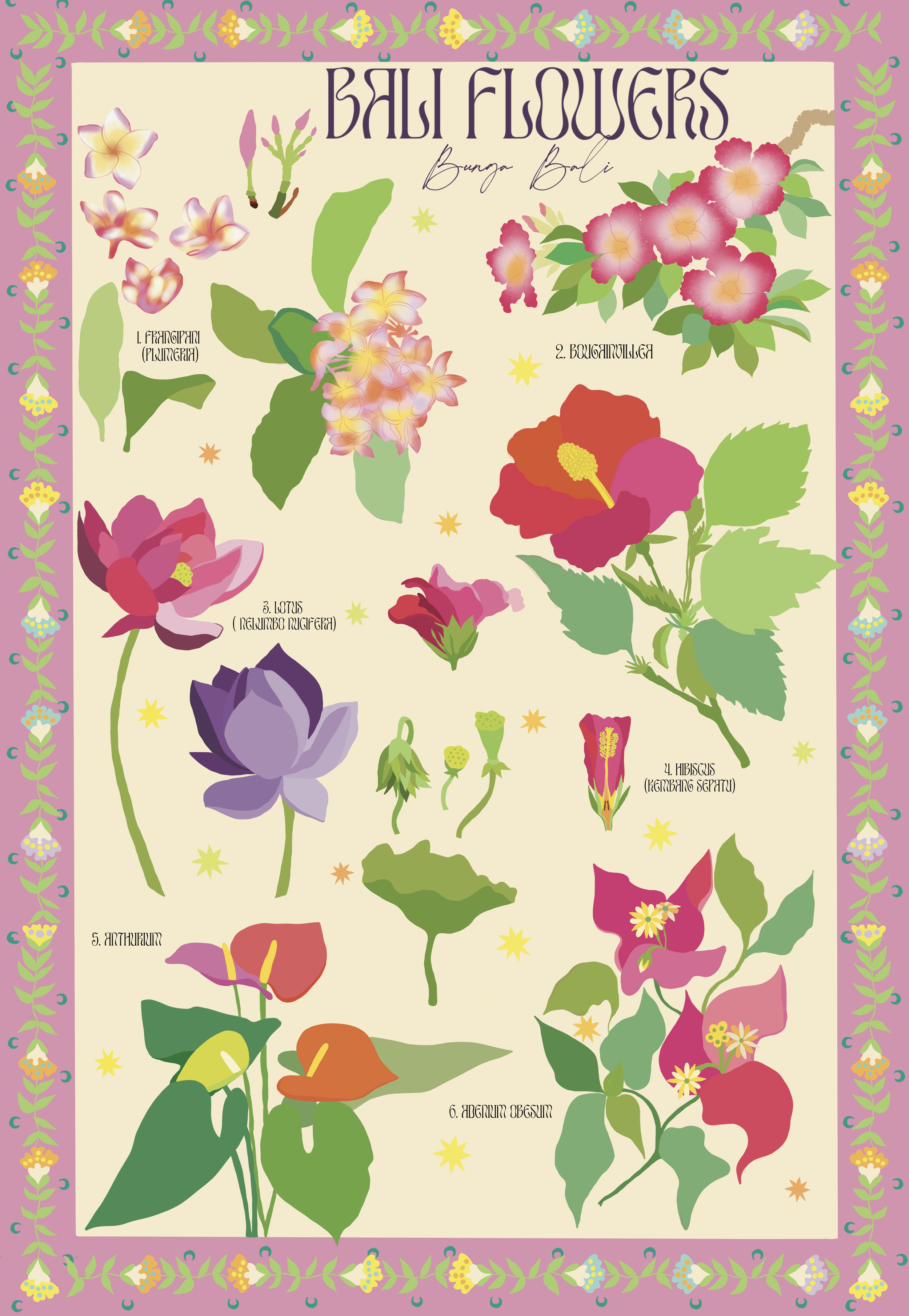 A decorative poster with a pink border featuring a variety of illustrated Bali flowers. The text at the top reads 'BALI FLOWERS' and 'Bunga Bali'. The poster includes illustrations and Latin names of several flowers, such as Plumeria, Bougainvillea, 