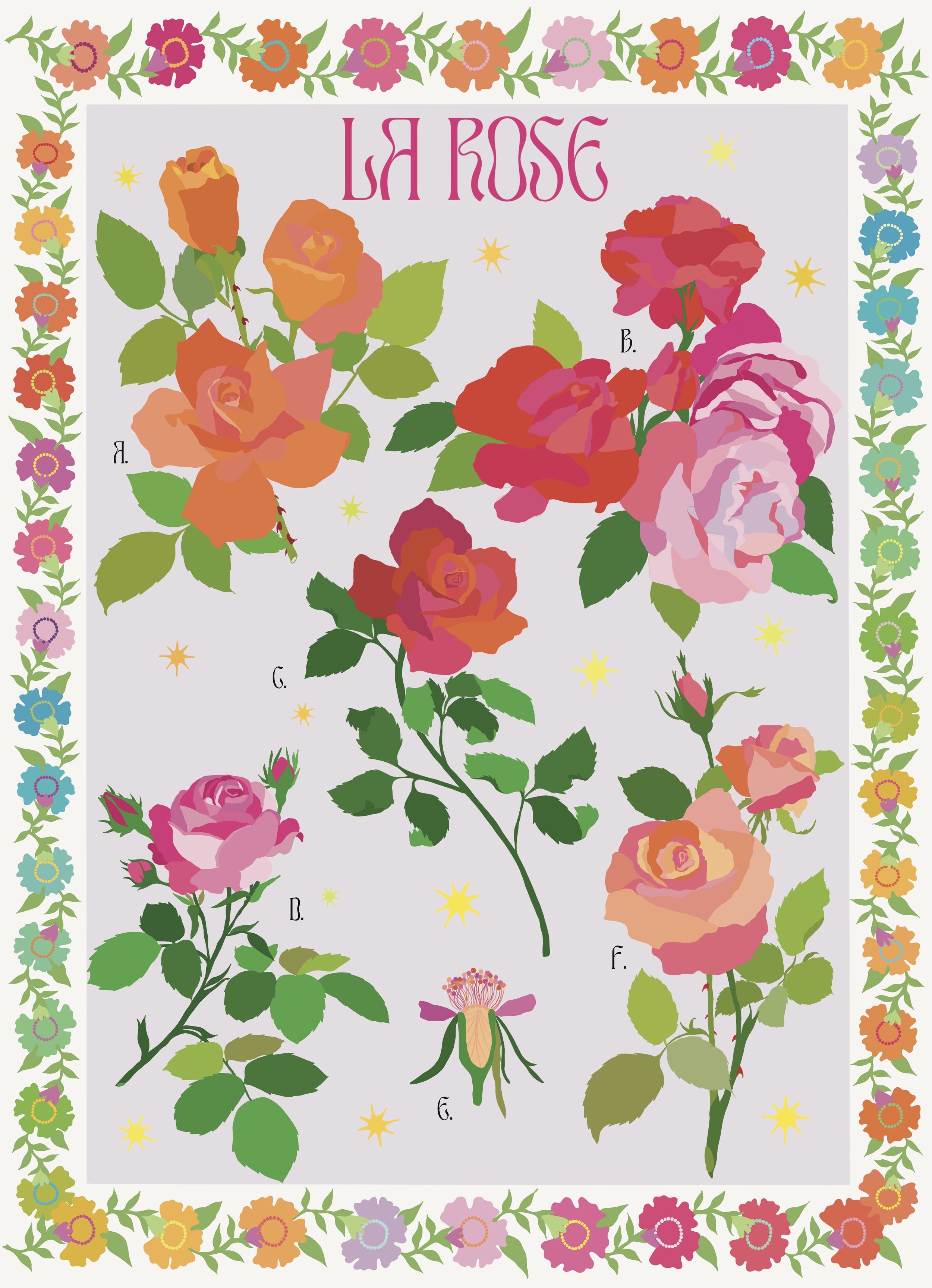 Illustration of various types of roses with different colors and stages of bloom, labeled with letters, surrounded by a decorative border of colorful flowers.