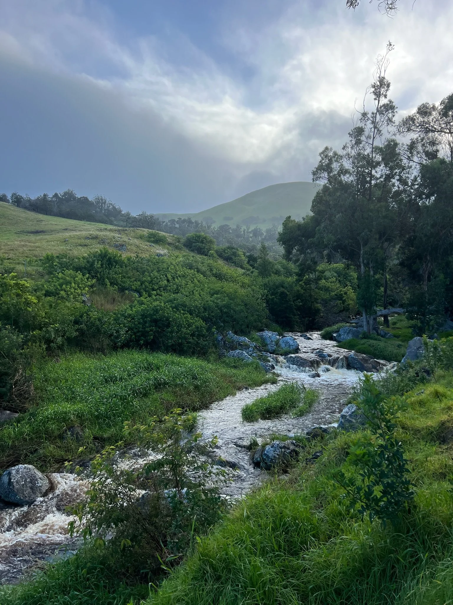 anna-ranch-river-valley.jpeg