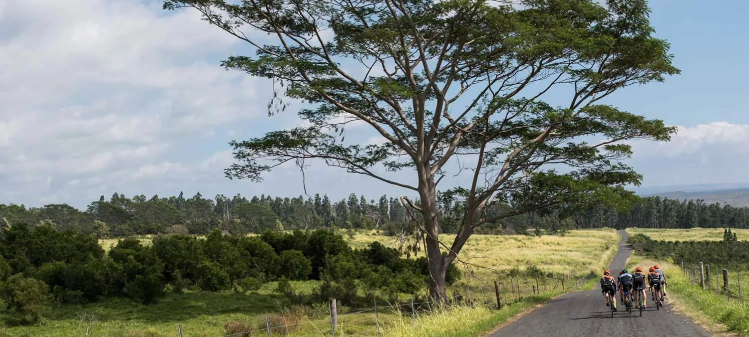 A group of five cyclists riding on a rural gravel road in a lush green landscape with trees and open fields, under a partly cloudy sky.