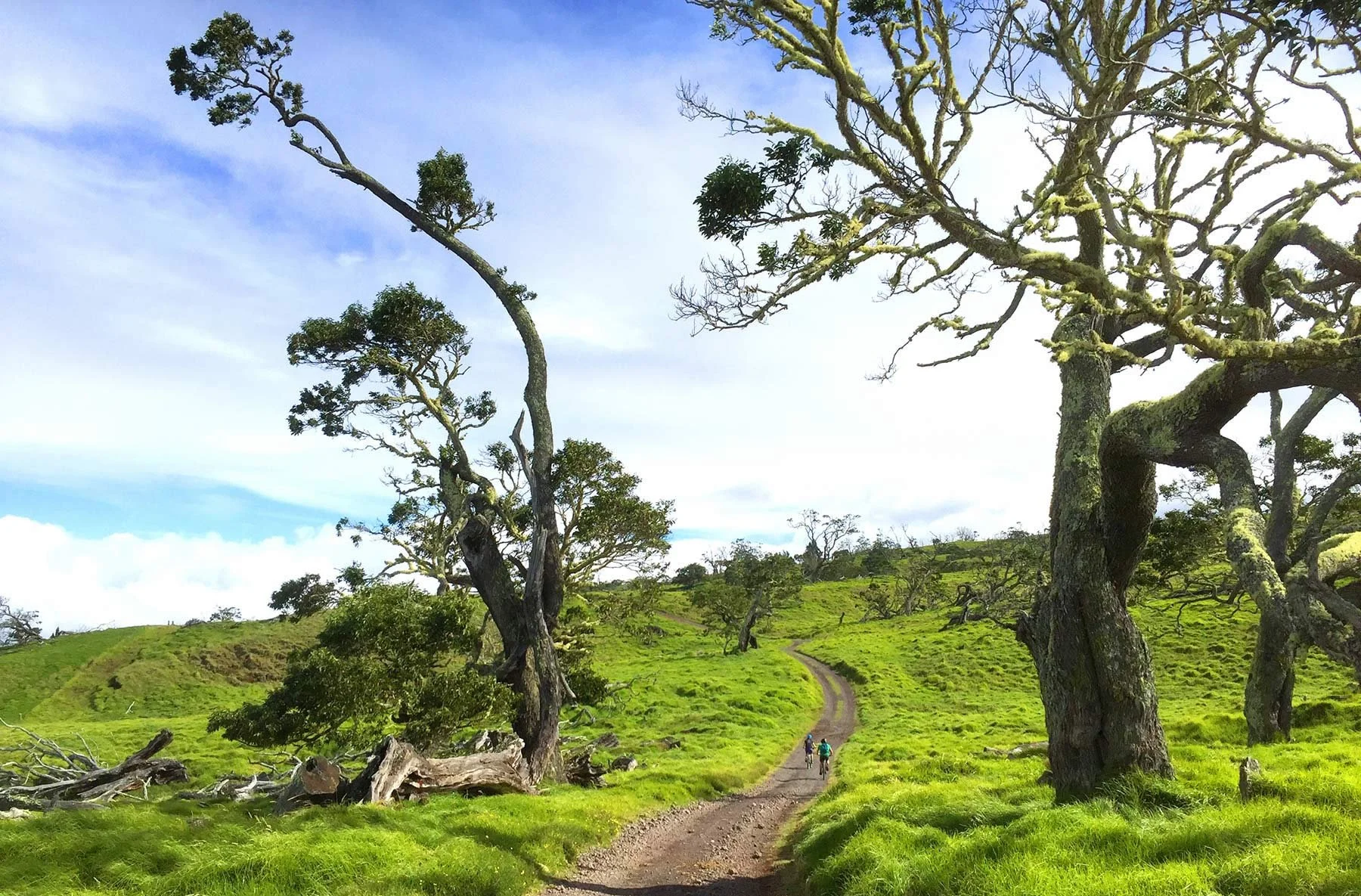 mana-road-biking-hawaii.jpg