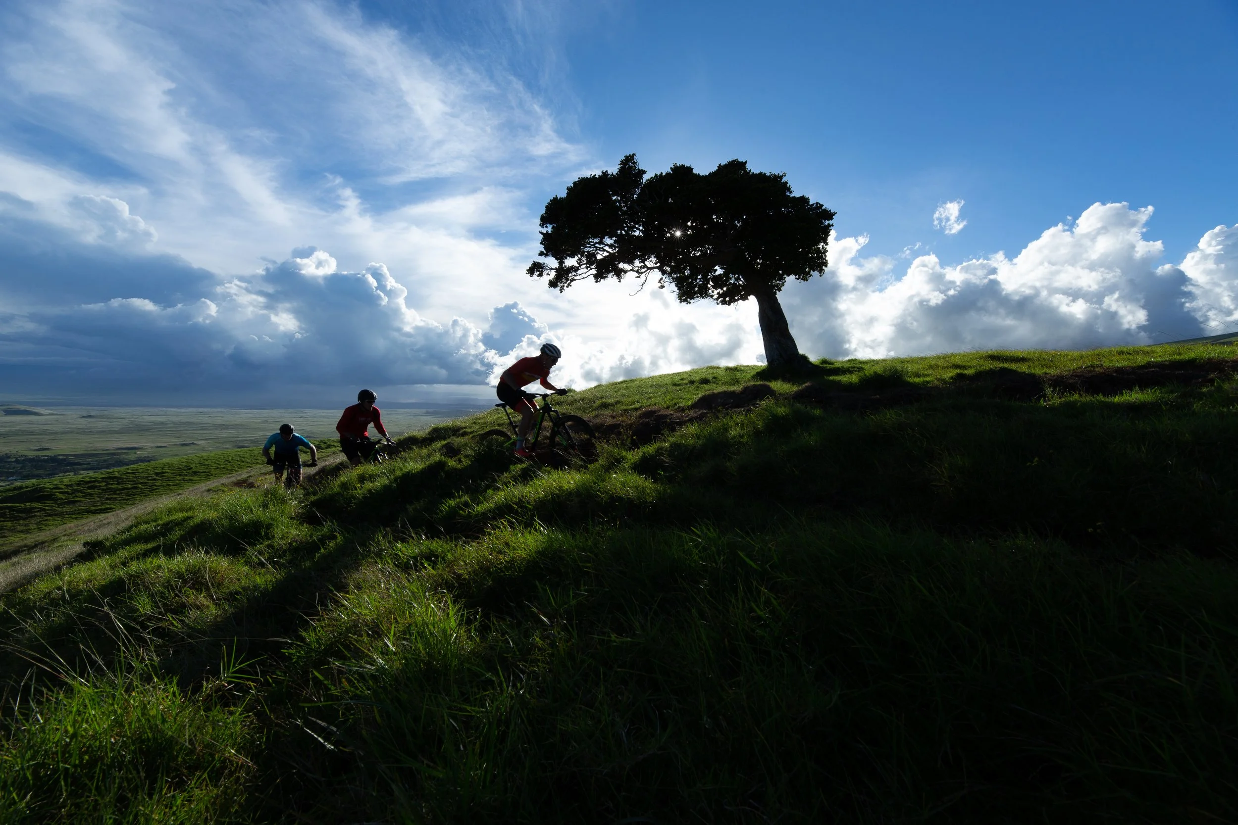Anna-Ranch-Hawaii-bike-tour-green.jpg