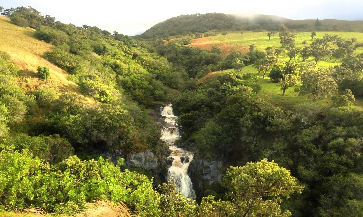 waterfall on anna ranch in hawaii
