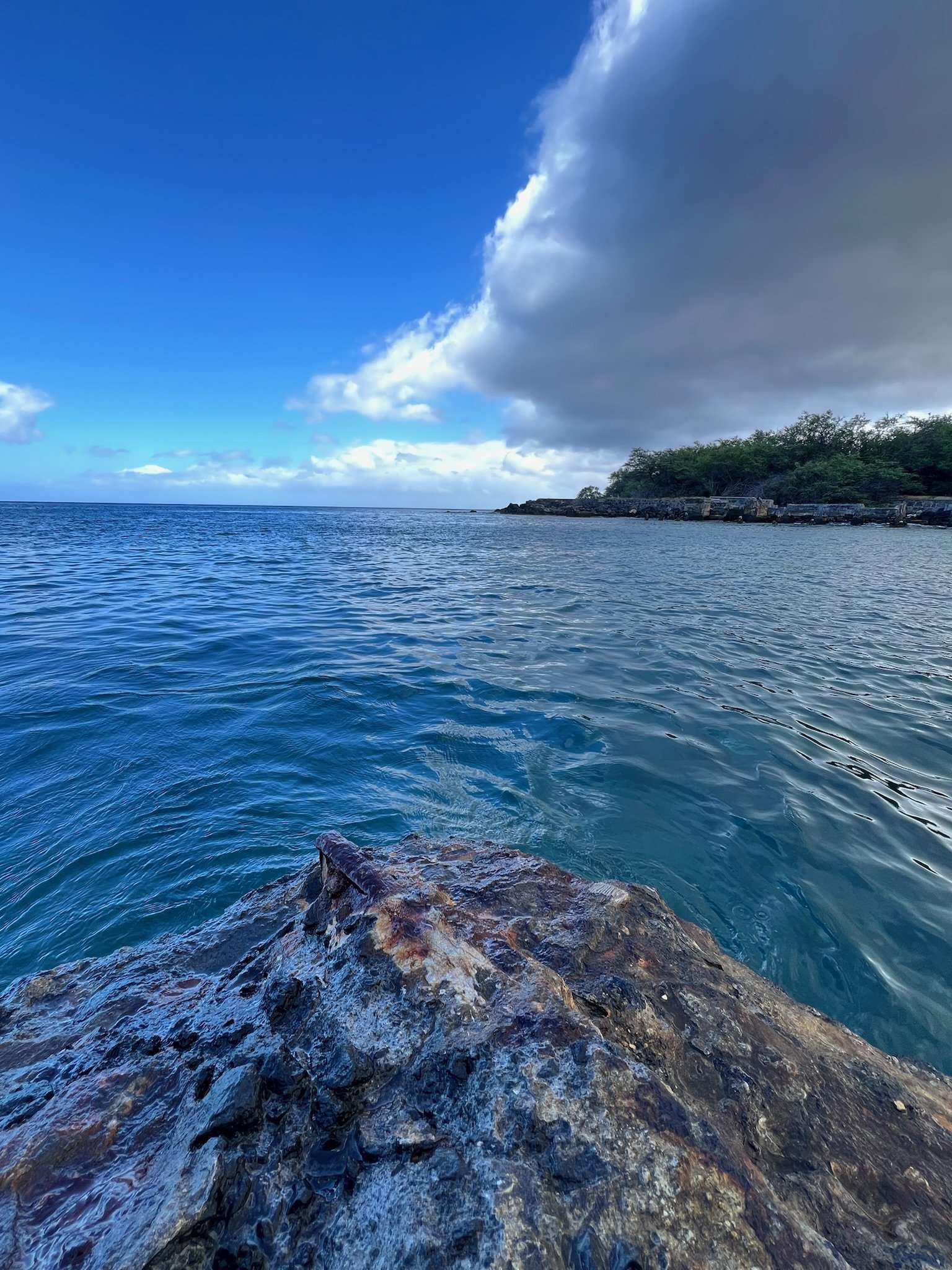 View of ocean with calm water, rocky foreground, and a tree-lined shoreline under a cloudy sky with patches of blue.