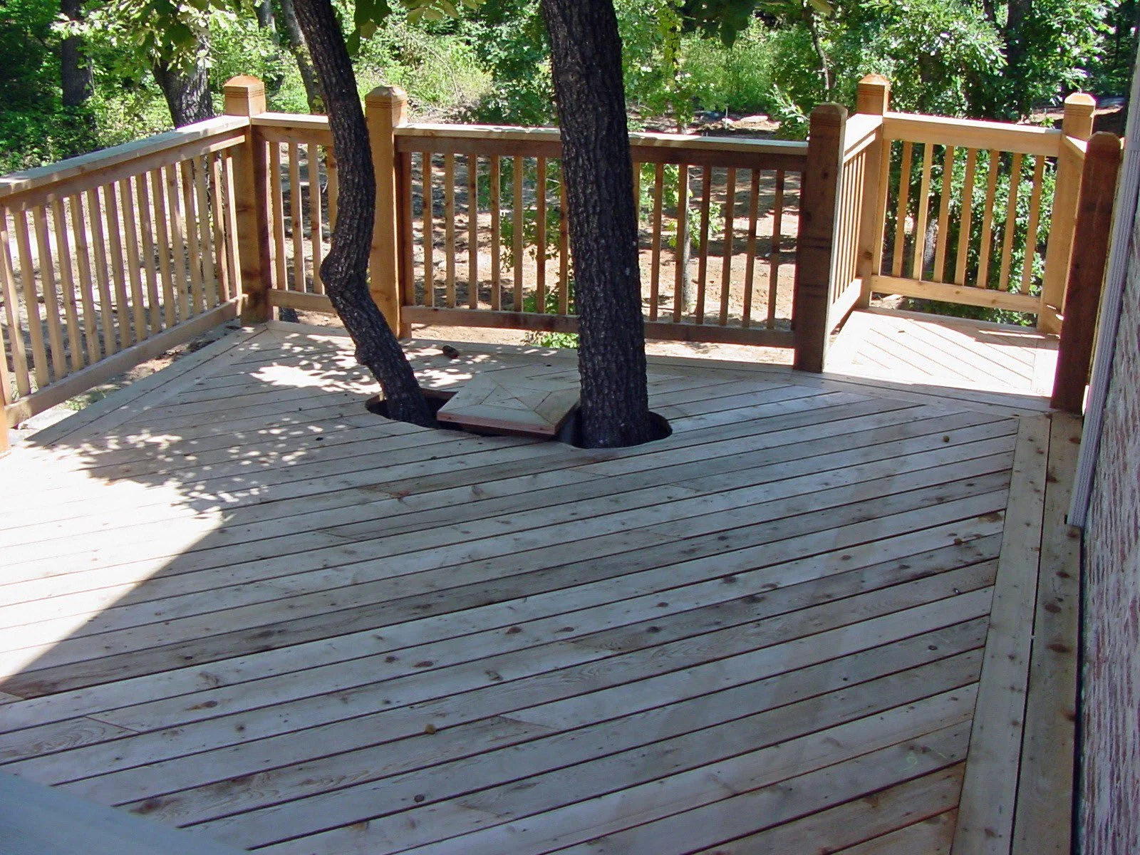 A wooden deck with a tree growing through it, surrounded by a wooden railing, in a wooded backyard.