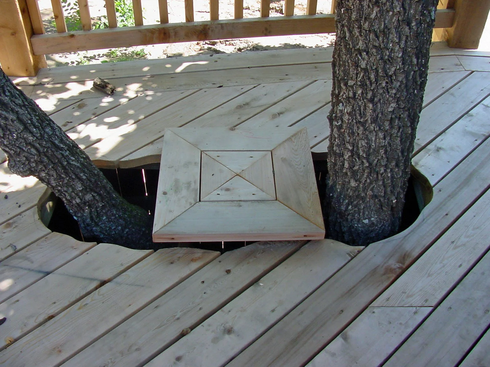 Wooden deck with two trees growing through it and a custom-built wooden cover around the base of one tree.