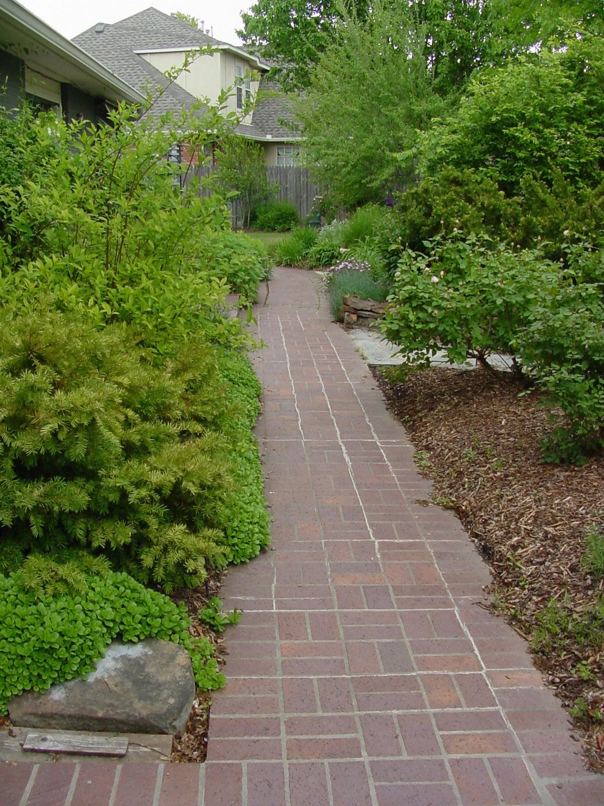Front yard landscape design in Tulsa with trees, shrubs, and clean layout